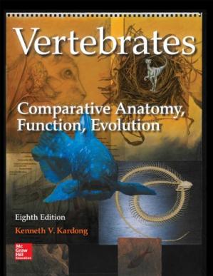 Vertebrates comparative anatomy, function, evolution