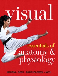 Visual Essentials of Anatomy & Physiology by Frederic H. Martini【ebook】